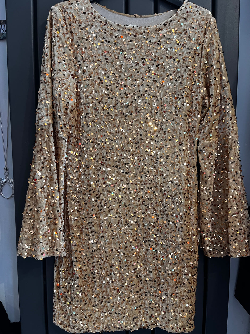 Long sleeved Sequin mini dress