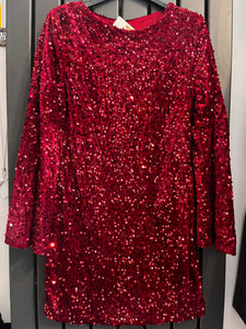 Long sleeved Sequin mini dress